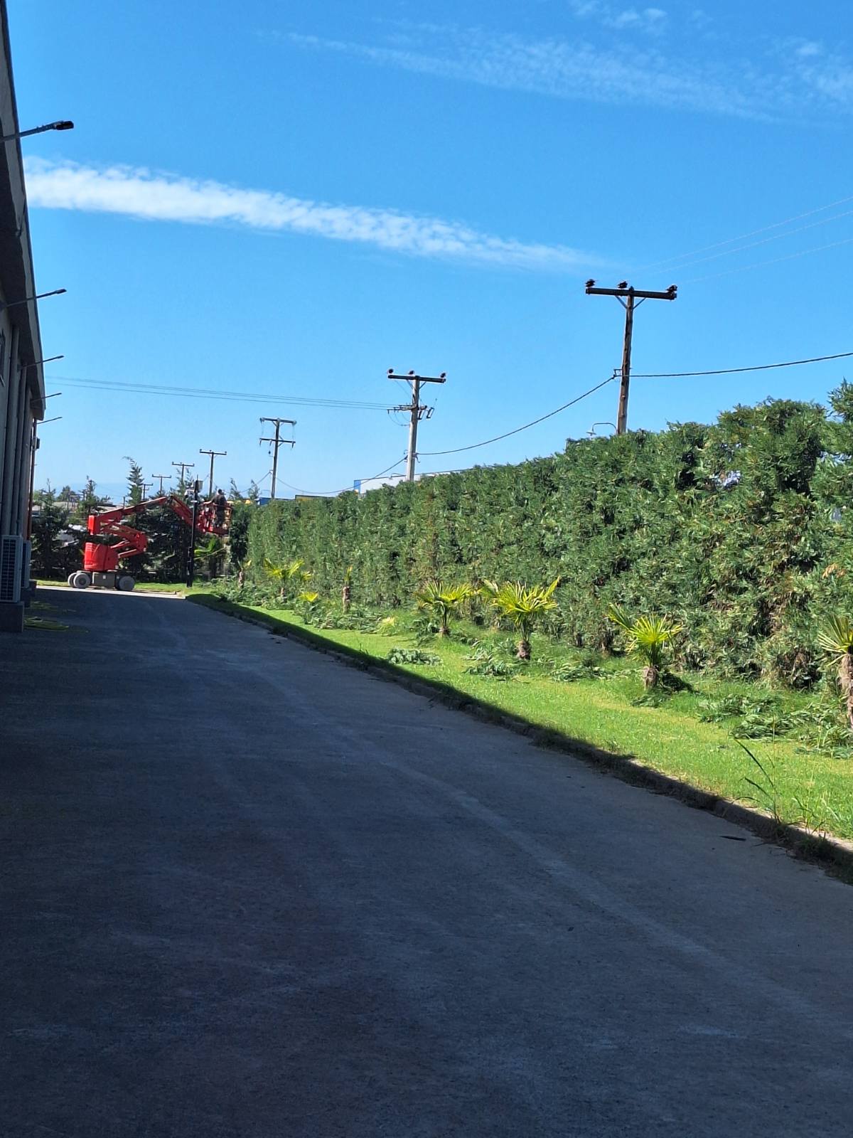 εικόνα_Viber_2024-12-05_13-48-43-913