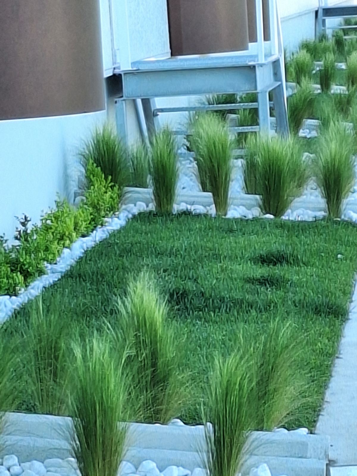 εικόνα_Viber_2024-12-05_13-48-44-500