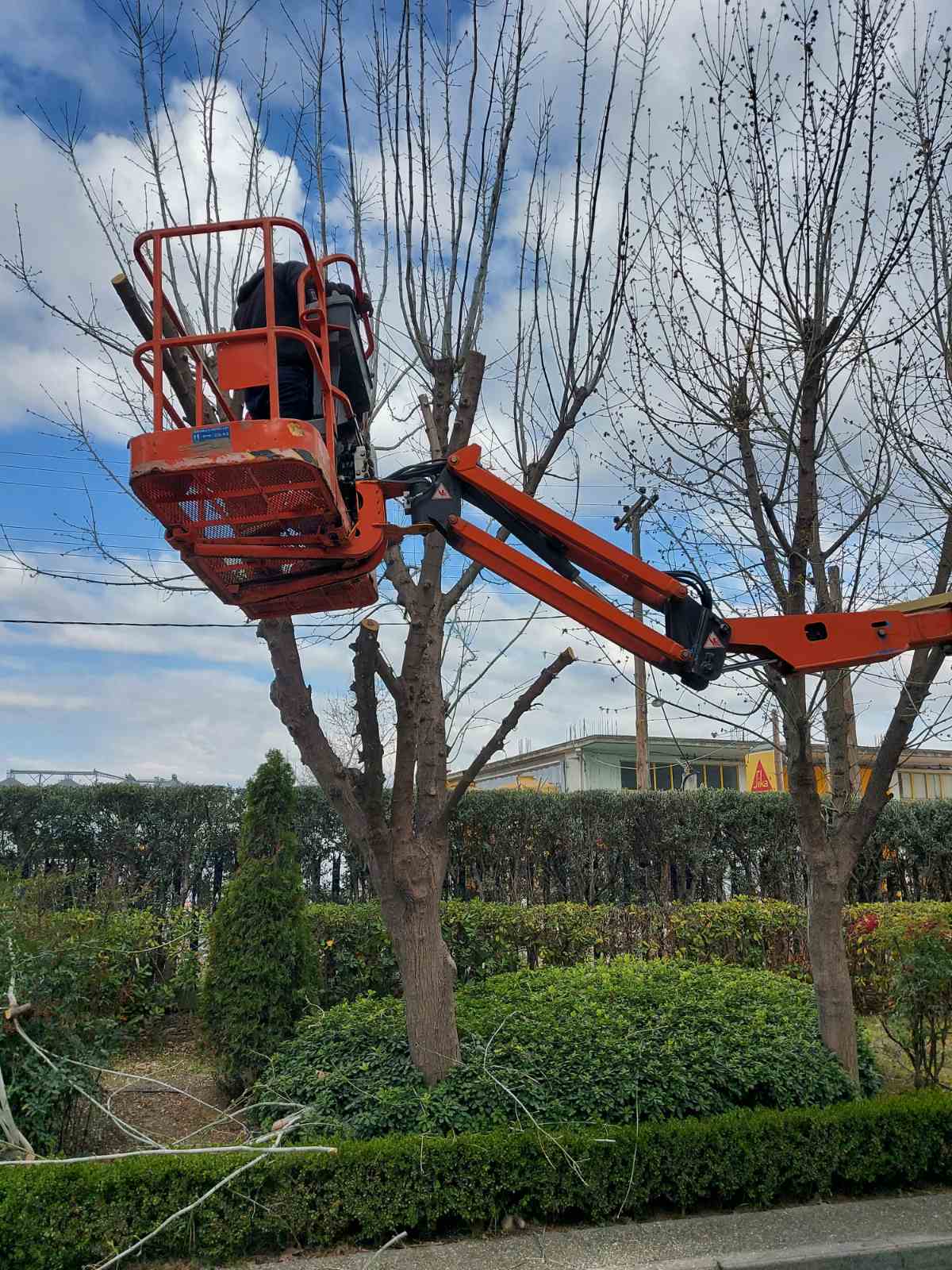 εικόνα_Viber_2024-12-05_14-54-23-252