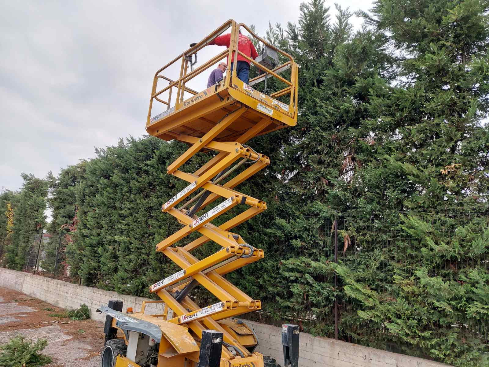 εικόνα_Viber_2025-01-03_11-02-32-374